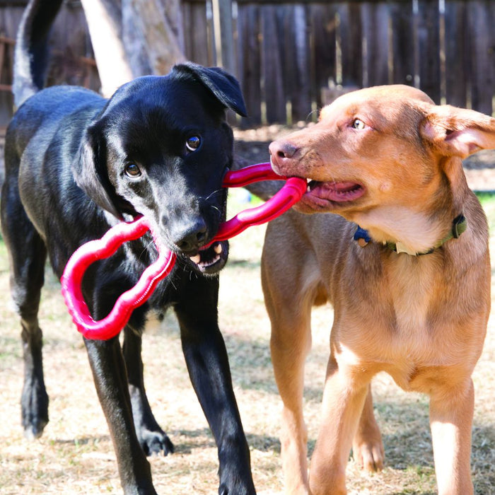 Mega dog tug jouet remorqueur pour chien