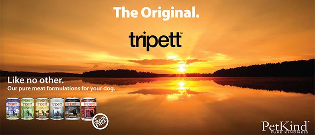 Tripett tripes de boeuf en conserve pour chien (produit du Canada) - CONSERVE - PetKind - #original_value#
