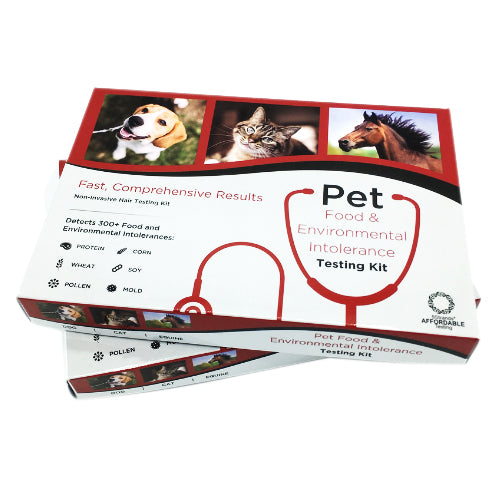 Trousse d'analyse d’intolérance alimentaire et environnementale pour animaux de compagnie chiens et chats