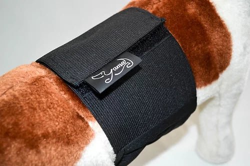 YAMACOUCHE BANDEAU D'ABSORPTION LAVABLE - Accessoires pour chiens - YAMACOUCHE - YAMACOUCHE BANDEAU D'ABSORPTION LAVABLE