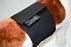 YAMACOUCHE BANDEAU D'ABSORPTION LAVABLE - Accessoires pour chiens - YAMACOUCHE - YAMACOUCHE BANDEAU D'ABSORPTION LAVABLE