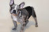 YAMACOUCHE BANDEAU D'ABSORPTION LAVABLE - Accessoires pour chiens - YAMACOUCHE - YAMACOUCHE BANDEAU D'ABSORPTION LAVABLE